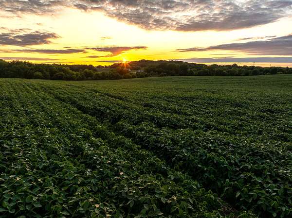 162 Acres of Land for Auction in Stoughton, Wisconsin