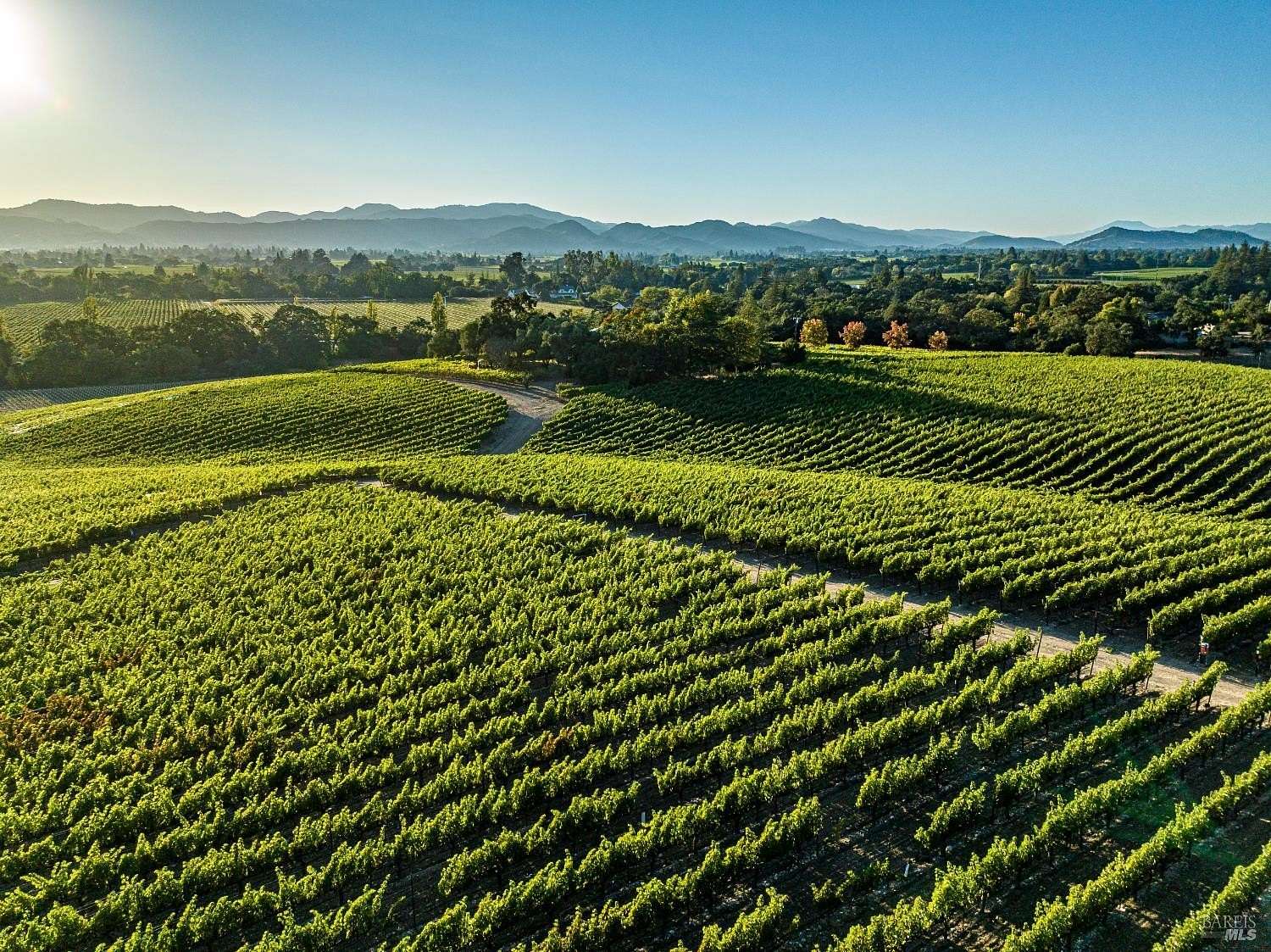 20.2 Acres of Agricultural Land with Home for Sale in Napa, California