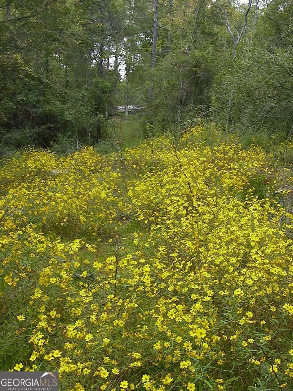 7.29 Acres of Residential Land for Sale in Loganville, Georgia