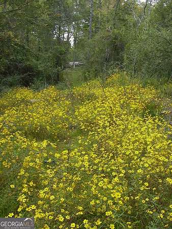 7.29 Acres of Residential Land for Sale in Loganville, Georgia