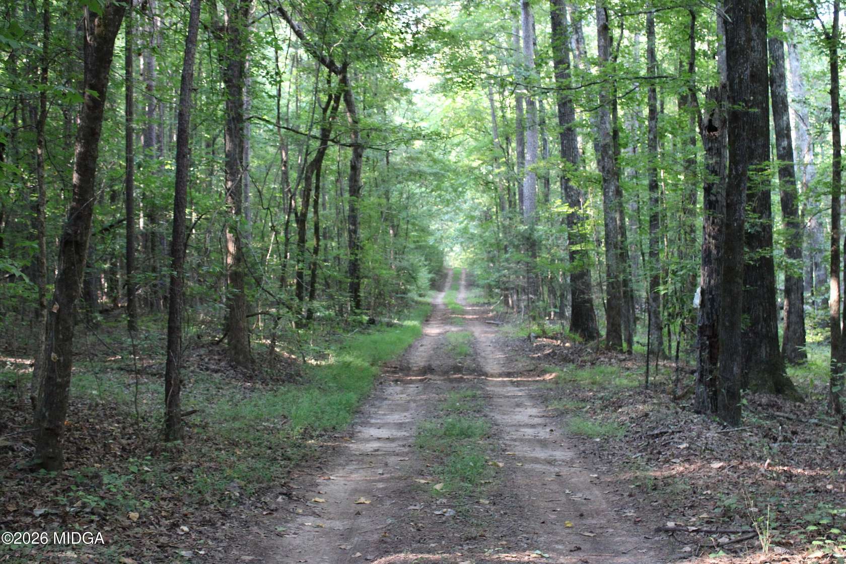 95 Acres of Recreational & Residential Land for Sale in Union Point, Georgia
