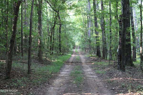 95 Acres of Recreational & Residential Land for Sale in Union Point, Georgia