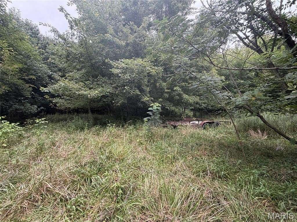 9 Acres of Residential Land for Sale in Brownstown, Illinois