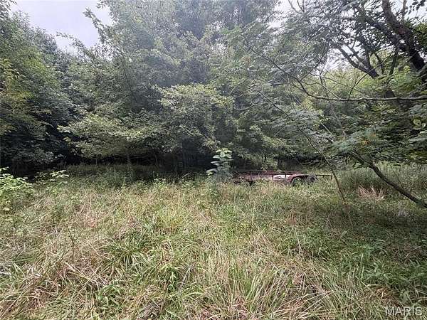 9 Acres of Residential Land for Sale in Brownstown, Illinois