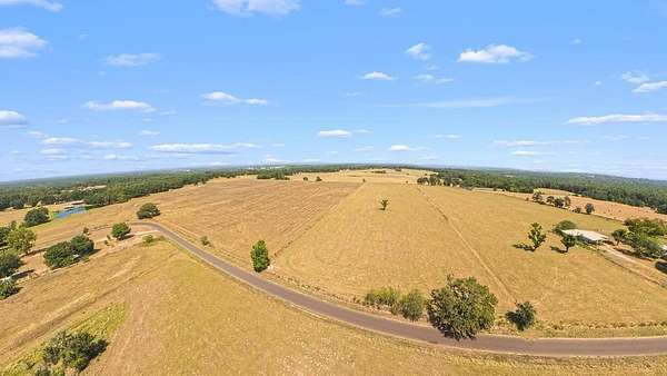 28.1 Acres of Agricultural Land for Sale in Grapeland, Texas