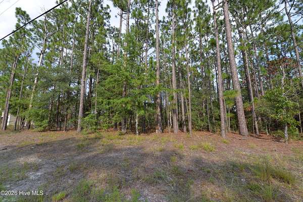 0.97 Acres of Residential Land for Sale in Southport, North Carolina