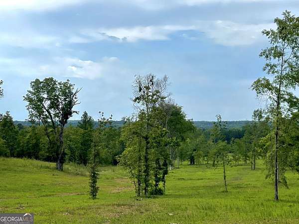 119 Acres of Recreational Land for Sale in Carlton, Georgia