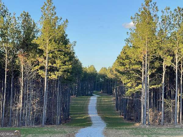 129 Acres of Recreational Land for Sale in Carlton, Georgia