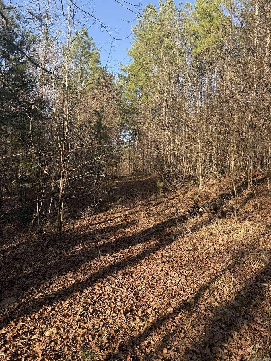 4 Acres of Land for Sale in Murfreesboro, Arkansas