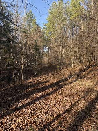 4 Acres of Land for Sale in Murfreesboro, Arkansas