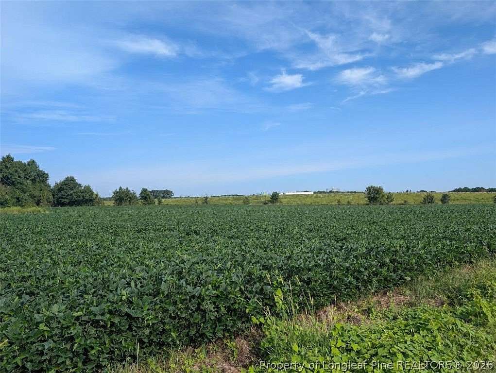 19.3 Acres of Mixed-Use Land for Sale in Lumberton, North Carolina