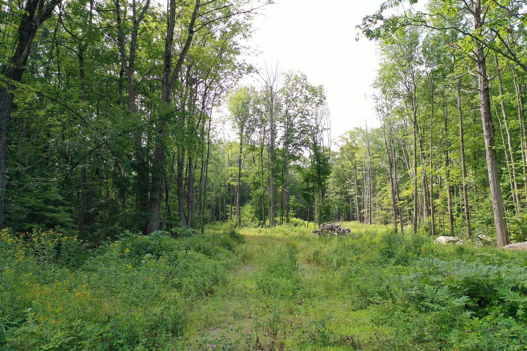 4.5 Acres of Residential Land for Sale in Shapleigh, Maine