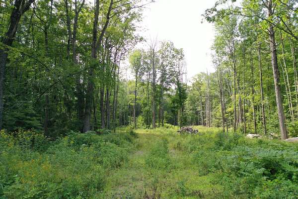 4.5 Acres of Residential Land for Sale in Shapleigh, Maine