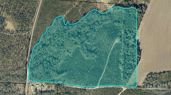 48.7 Acres of Recreational & Residential Land for Sale in Chumuckla, Florida