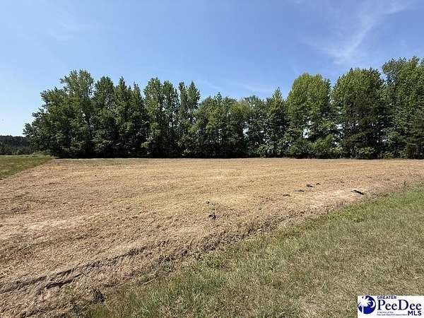 3 Acres of Residential Land for Sale in Pageland, South Carolina