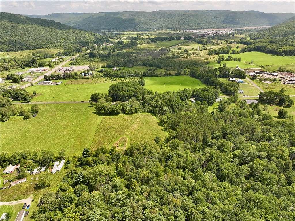7 Acres of Land for Sale in Cayuta, New York