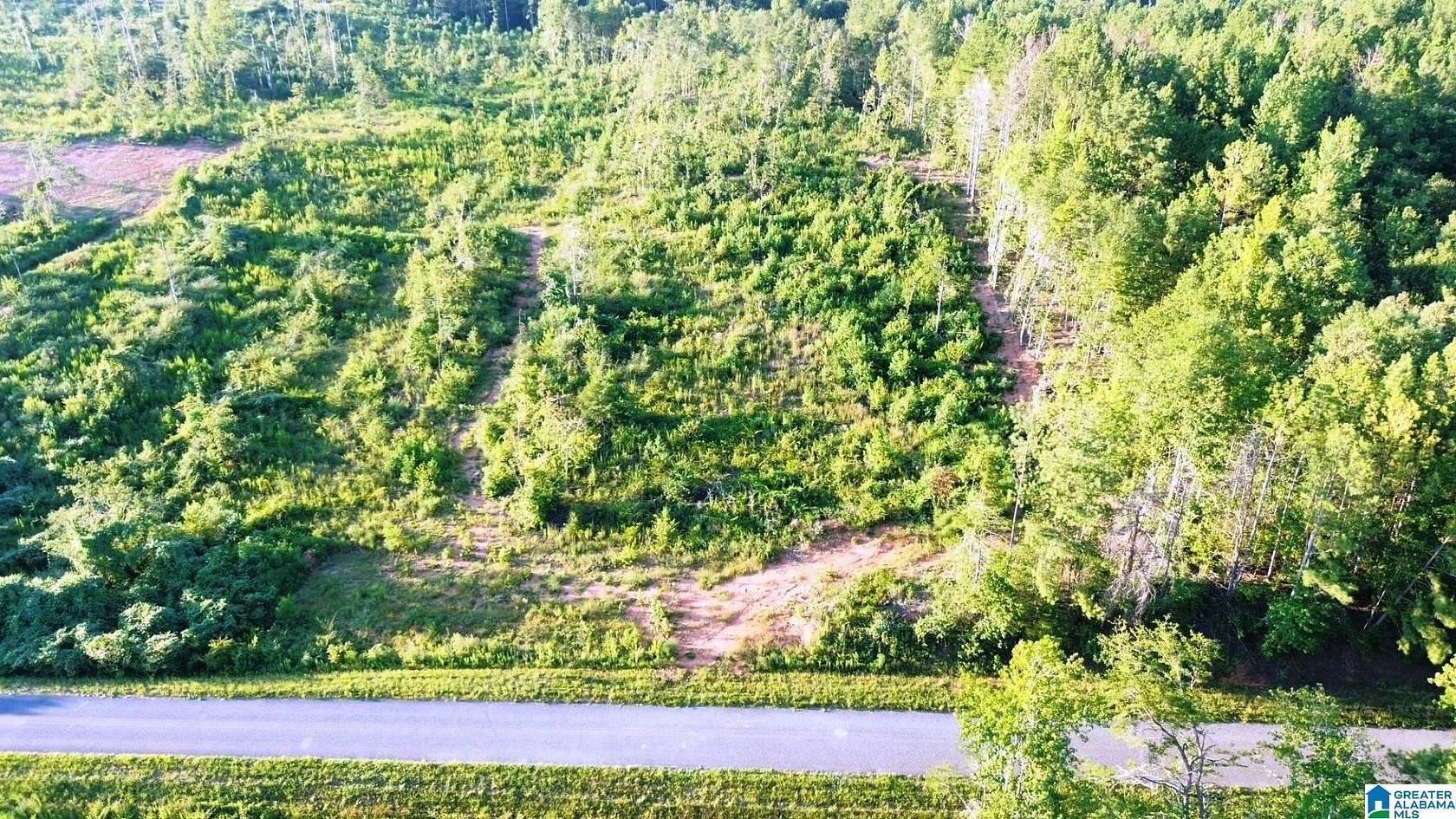 4 Acres of Residential Land for Sale in Delta, Alabama