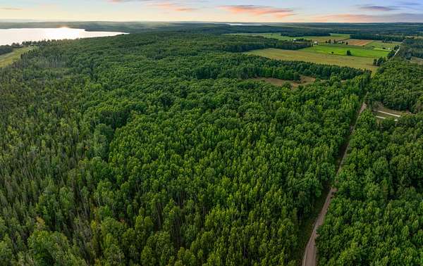 73.4 Acres of Recreational Land for Sale in Cheboygan, Michigan