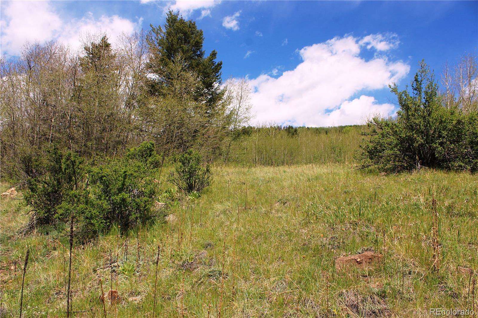 2.5 Acres of Residential Land for Sale in Central City, Colorado