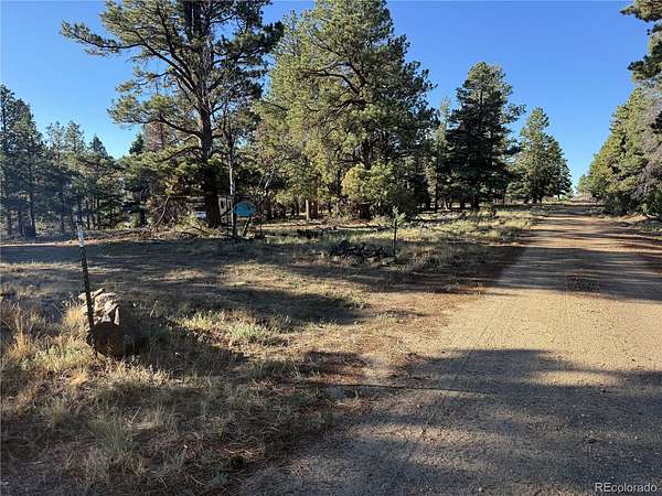 40.3 Acres of Land for Sale in Fort Garland, Colorado