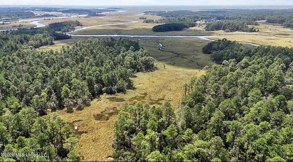 134 Acres of Recreational & Residential Land for Sale in Pearlington, Mississippi