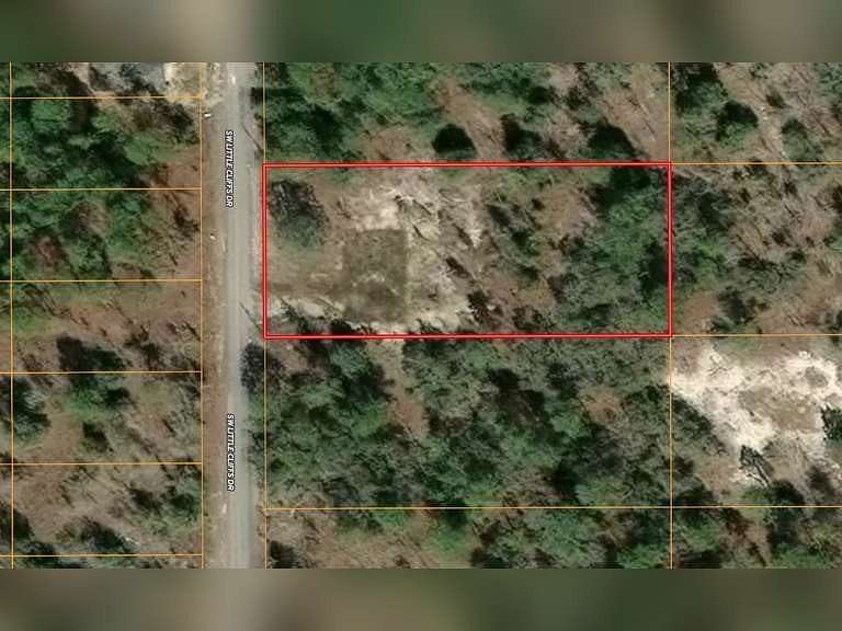 0.99 Acres of Residential Land for Auction in Dunnellon, Florida