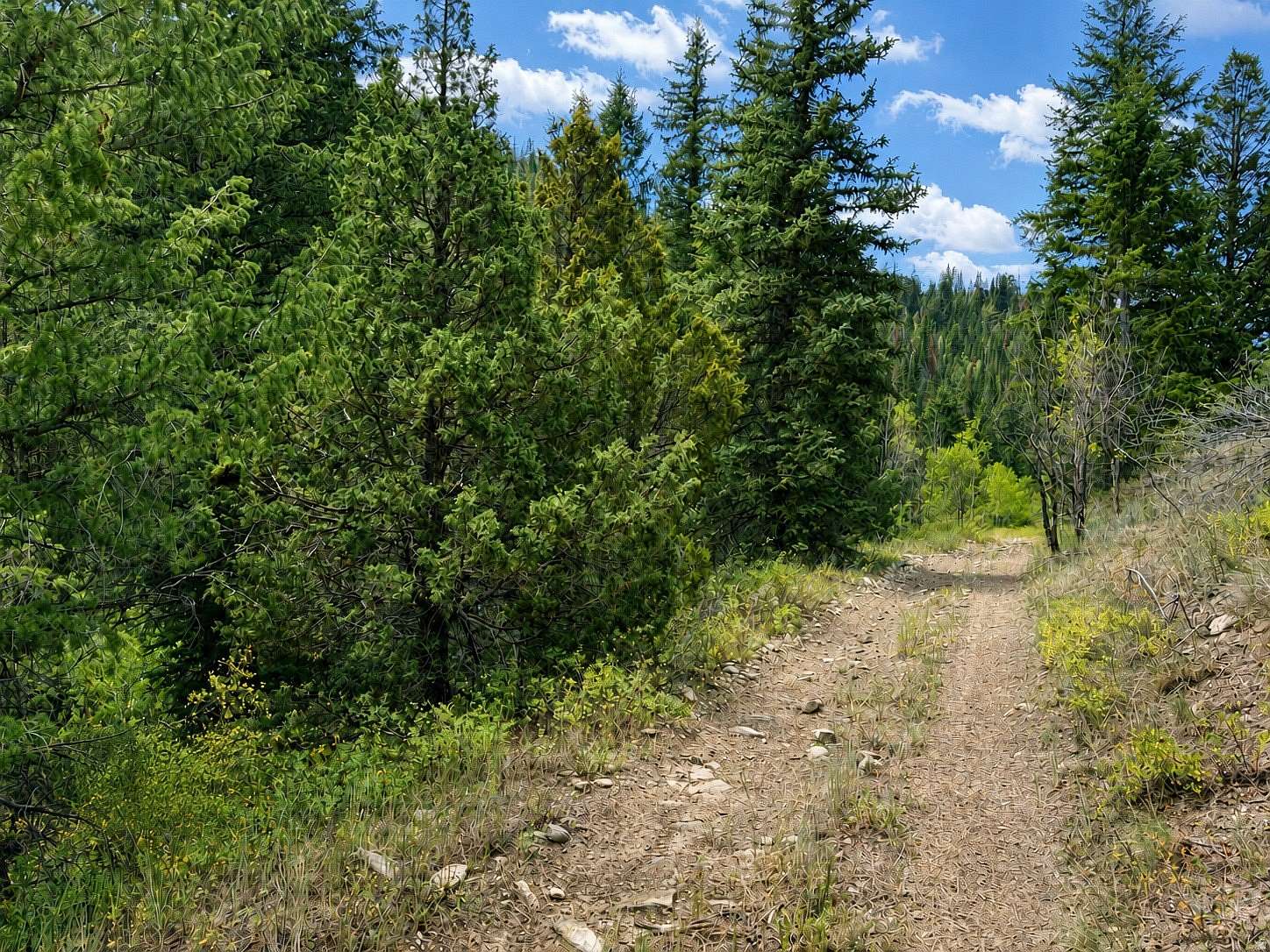 120 Acres of Recreational & Residential Land for Sale in Daniel, Utah