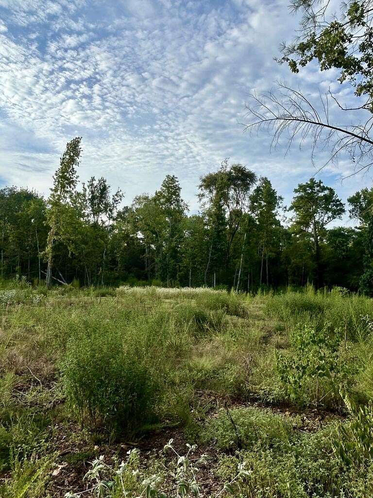 23 Acres of Recreational & Residential Land for Sale in Grapeland, Texas