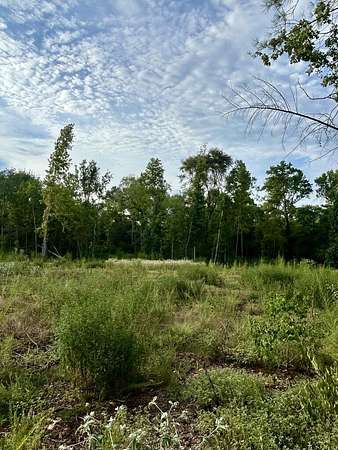23 Acres of Recreational & Residential Land for Sale in Grapeland, Texas