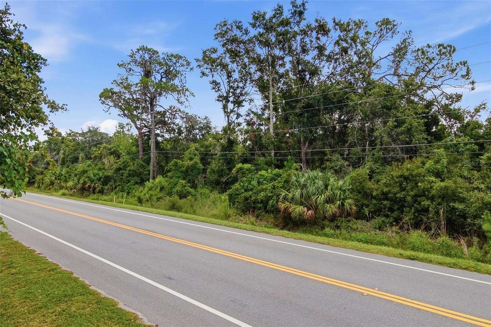 7.5 Acres of Land for Sale in Yalaha, Florida