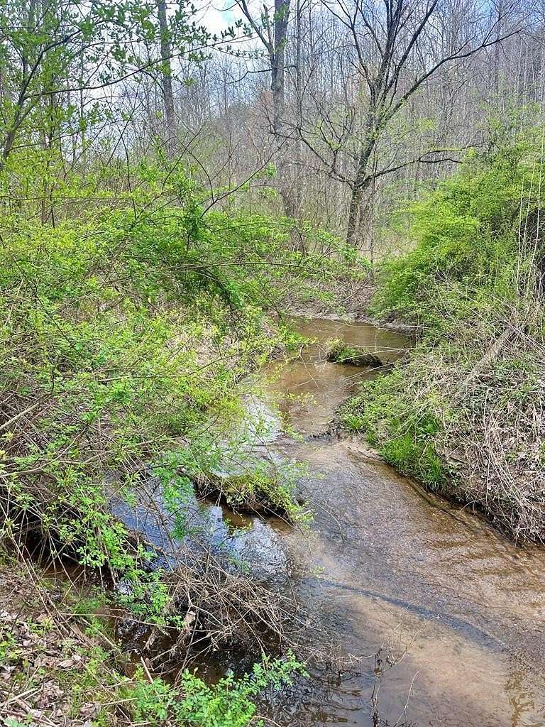 3 Acres of Residential Land for Sale in Blue Ridge, Georgia