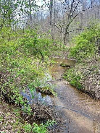 3 Acres of Land for Sale in Blue Ridge, Georgia