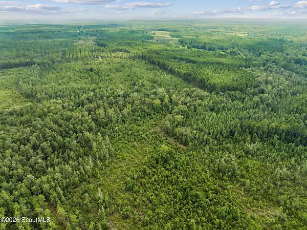 25 Acres of Recreational & Residential Land for Sale in Kingsland, Georgia