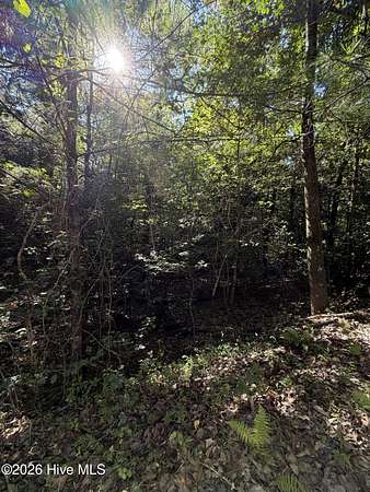 1.53 Acres of Land for Sale in Murphy, North Carolina