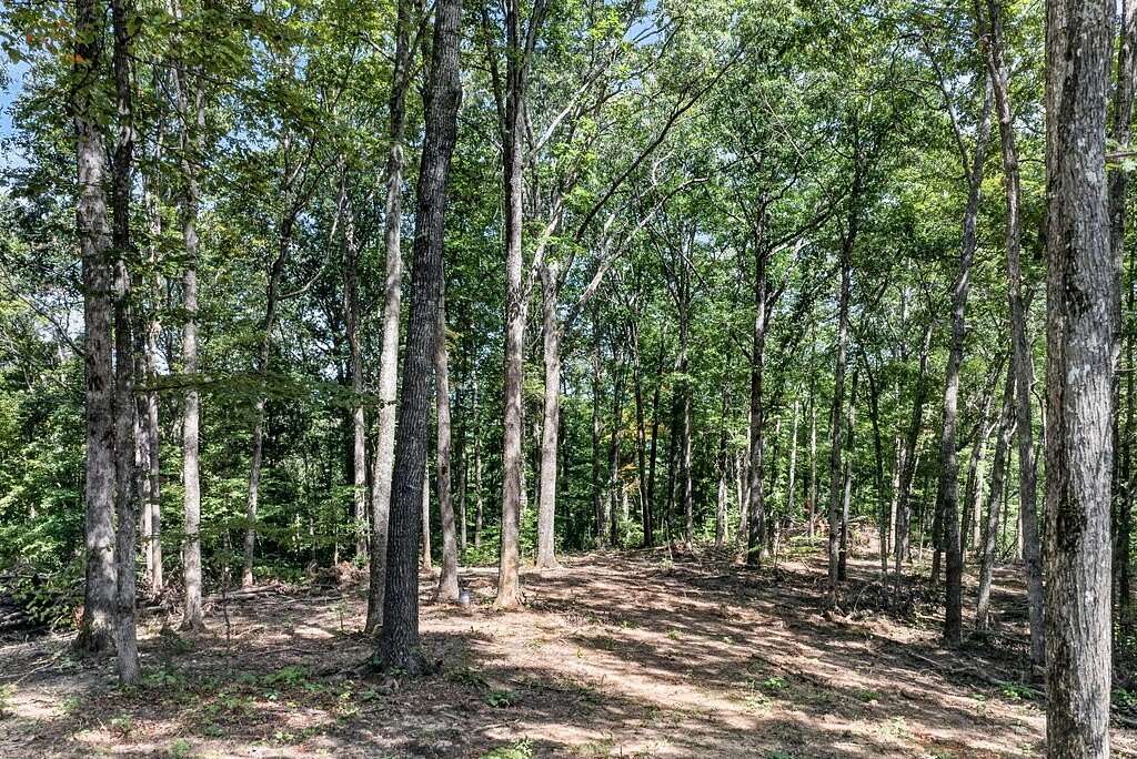 6.46 Acres of Residential Land for Sale in Crawford, Tennessee