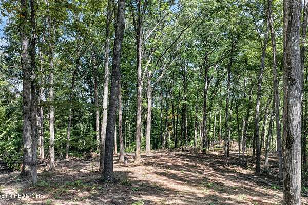6.46 Acres of Residential Land for Sale in Crawford, Tennessee