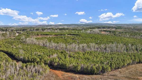 29 Acres of Land for Sale in Hamilton, Georgia