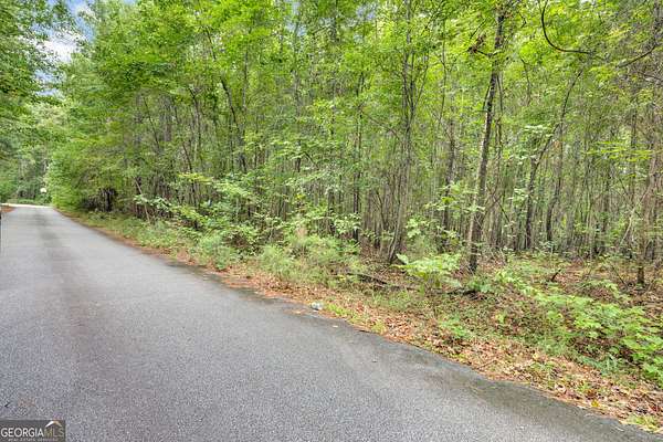4.82 Acres of Residential Land for Sale in Stockbridge, Georgia