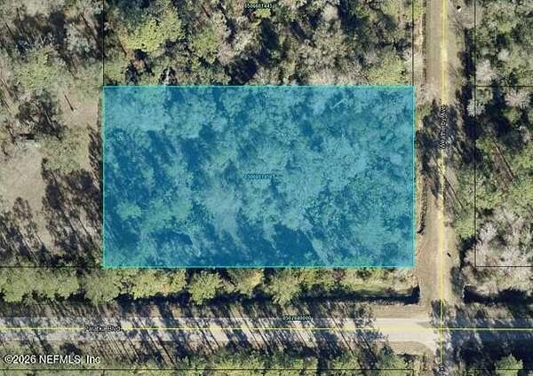 1.2 Acres of Residential Land for Sale in Hastings, Florida