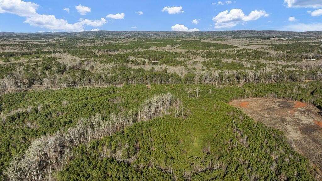 30.2 Acres of Land for Sale in Hamilton, Georgia