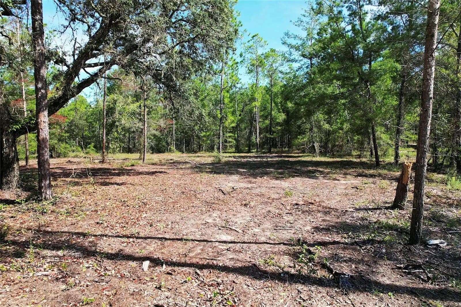 1.25 Acres of Land for Sale in Williston, Florida