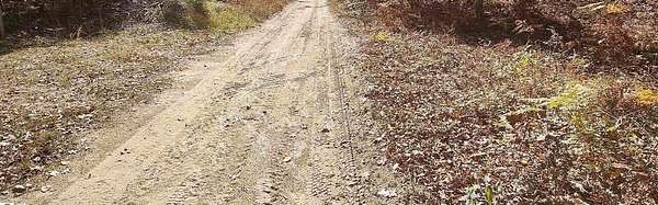 5 Acres of Land for Sale in Prescott, Michigan