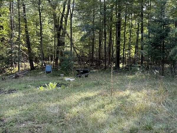 5 Acres of Land for Sale in Prescott, Michigan
