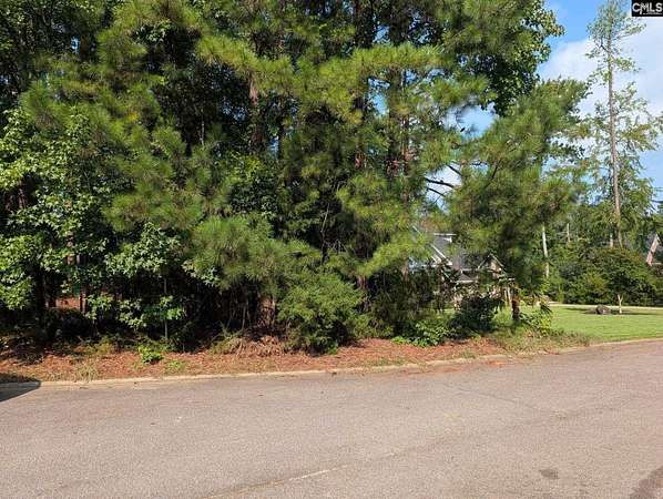 0.43 Acres of Land for Sale in Chapin, South Carolina