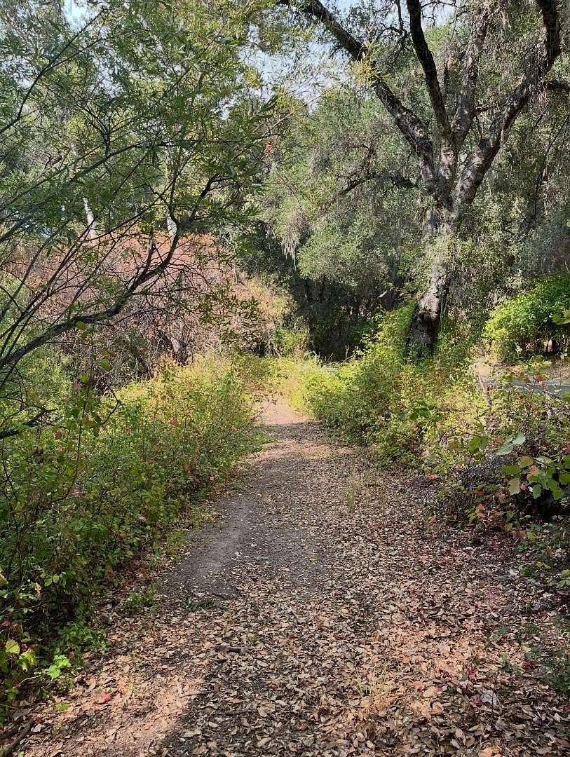 40 Acres of Land for Sale in Carmel Valley, California