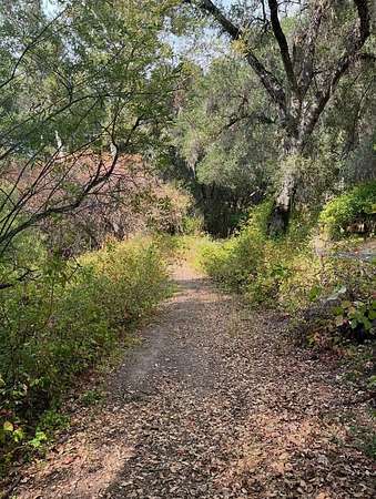 40 Acres of Land for Sale in Carmel Valley, California