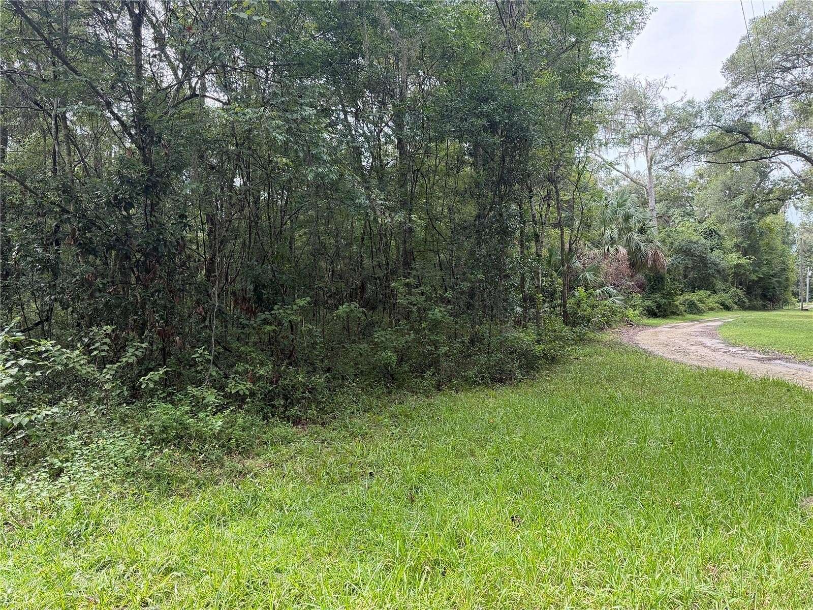 10 Acres of Land for Sale in Gainesville, Florida