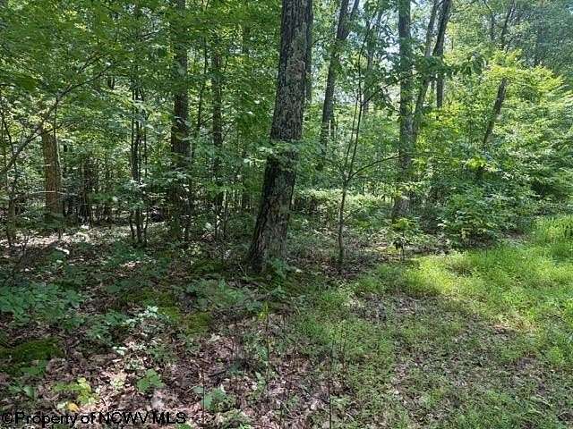 0.43 Acres of Residential Land for Sale in Montrose, West Virginia