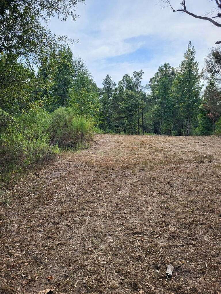 12 Acres of Land for Sale in Bronson, Texas