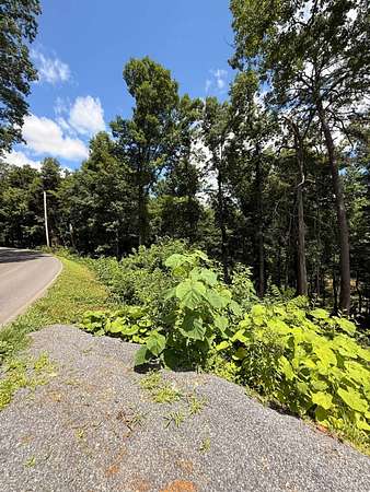 2 Acres of Residential Land for Sale in Dandridge, Tennessee